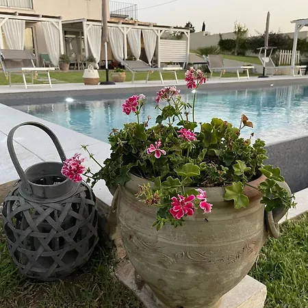 Triona Con Piscina